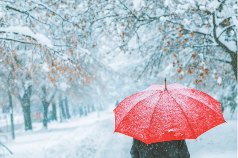 umbrella in the snow
